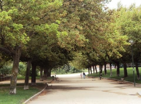 SANJOSE realizara diversas actuaciones de mejora y adecuacin del Parque Dionisio Ridruejo en Moratalaz, Madrid