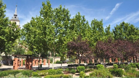 Sanjose r&eacute;alisera les travaux d�Am&eacute;nagement de Huerto de los Leones dans le Jardin de las Palabras de Alcal&aacute; de Henares