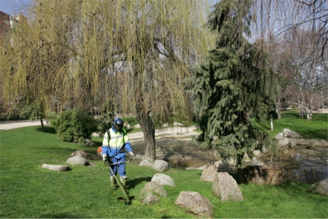 La Mairie de Madrid a attribu&eacute; &agrave; SANJOSE pour deux ans et 28,74 millions d�euros le service de conservation et maintenance des zones vertes et arbor&eacute;e