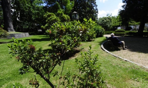 Sanjose will maintain and preserve the green and sport areas of the City of Ferrol