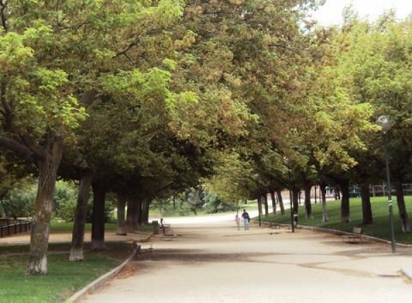 SANJOSE will carry out sundry actions to improve and adapt the Dionisio Ridruejo Park in Moratalaz, Madrid