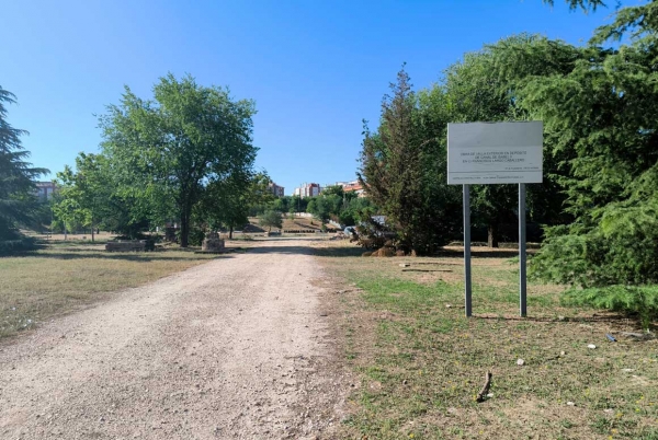 SANJOSE will Build Miyawaki Forest in Alcobendas, Madrid
