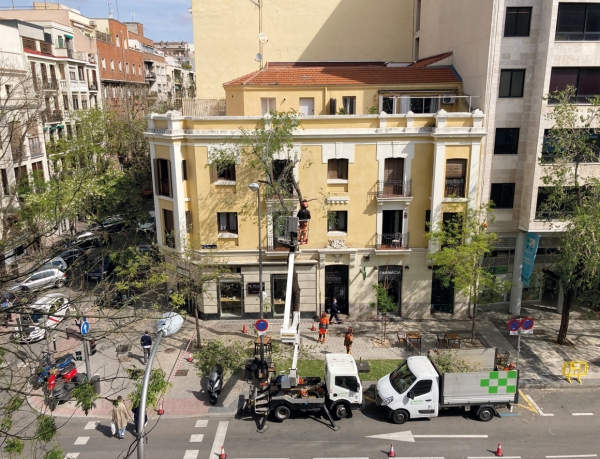 SANJOSE r&eacute;alisera le Service d�&eacute;valuation et r&eacute;vision verte des arbres de Madrid (SERVER)