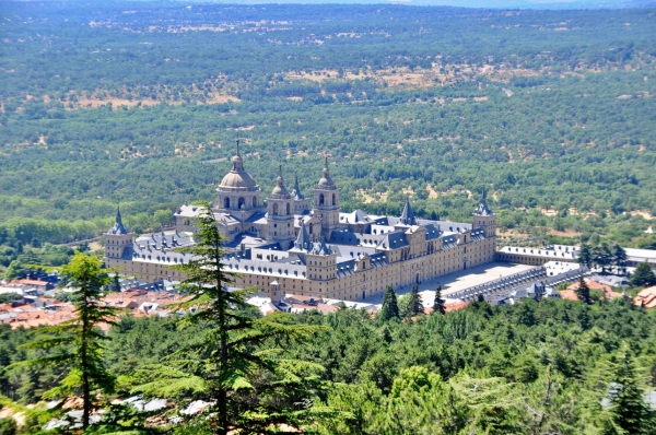 SANJOSE Will Carry Out Restoration of Tree Alignments along the Paseo de Canapés in San Lorenzo de El Escorial, Madrid