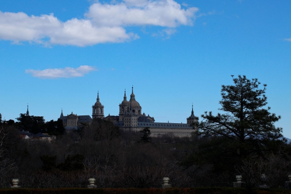 SANJOSE Will Carry Out Restoration of Tree Alignments along the Paseo de Canapés in San Lorenzo de El Escorial, Madrid