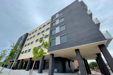 BERMEOKO ARITZATXU BERDEA EGOITZA, BIZKAIA